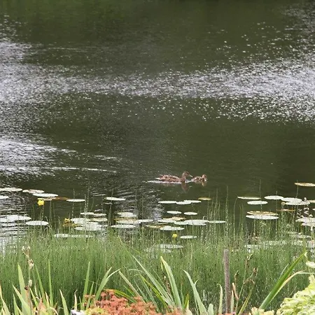 Dom wakacyjny Tammeveski House *