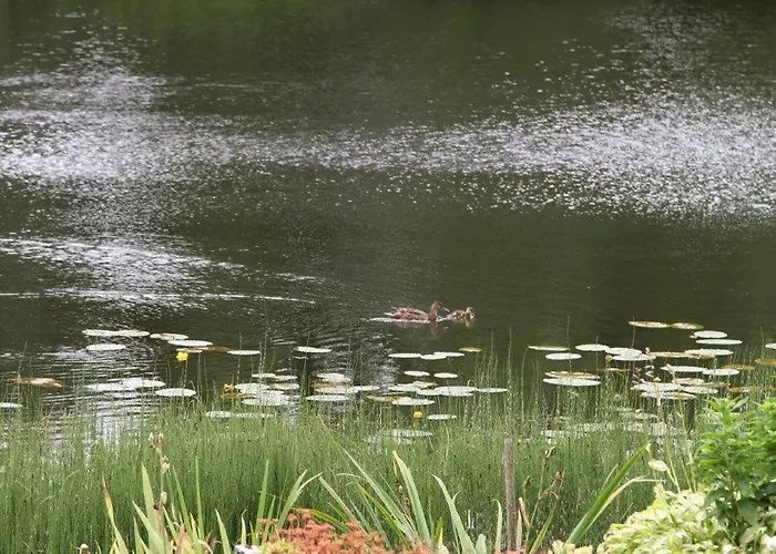 Σπίτι διακοπών Tammeveski House *